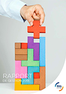 Rapport de gestion