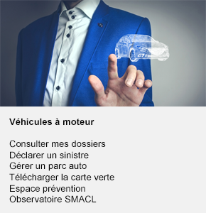 Services en ligne - contrat VAM