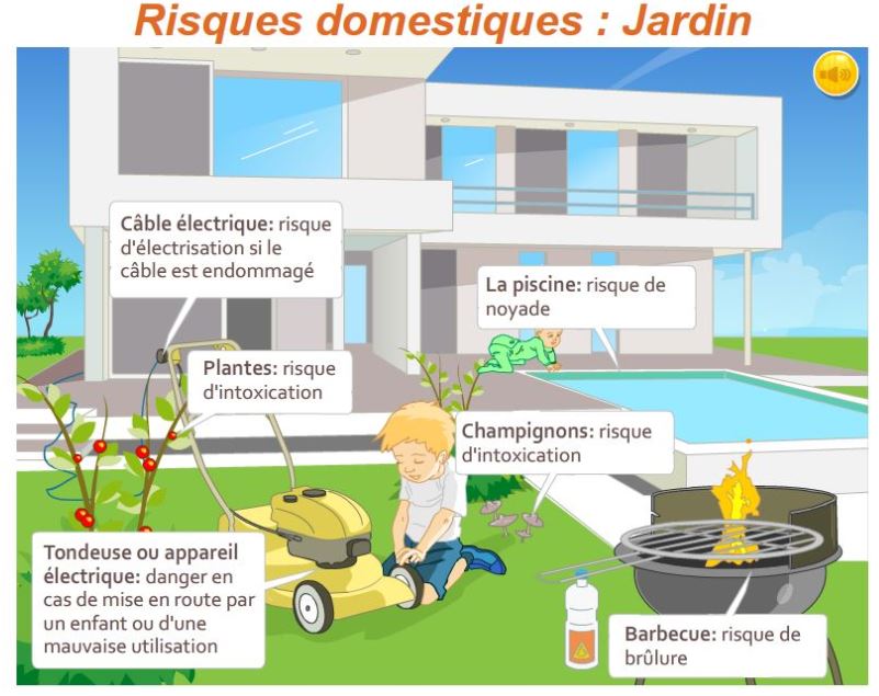 Risques domestiques