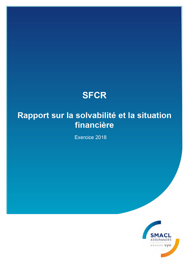 visuel rapport solvabilite et situation financière 2018