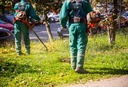 Conseils débroussaillage espaces verts ville
